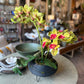 Orchid Arrangement