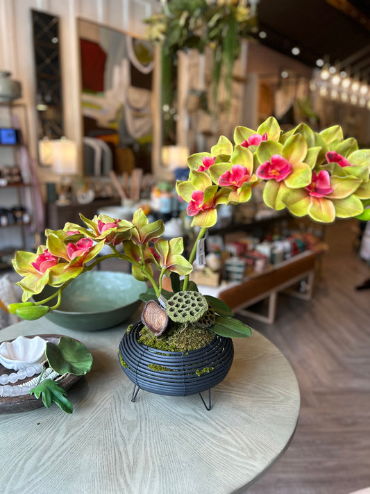 Orchid Arrangement