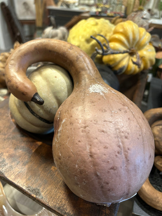 Brown Gourd