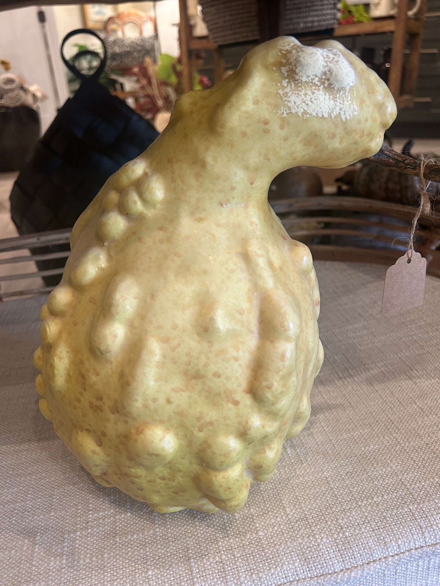 Rustic & Whimsical Gourds & Pumpkins