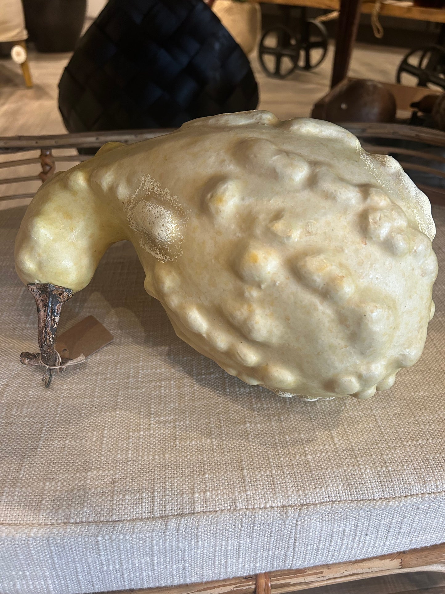 Rustic & Whimsical Gourds & Pumpkins