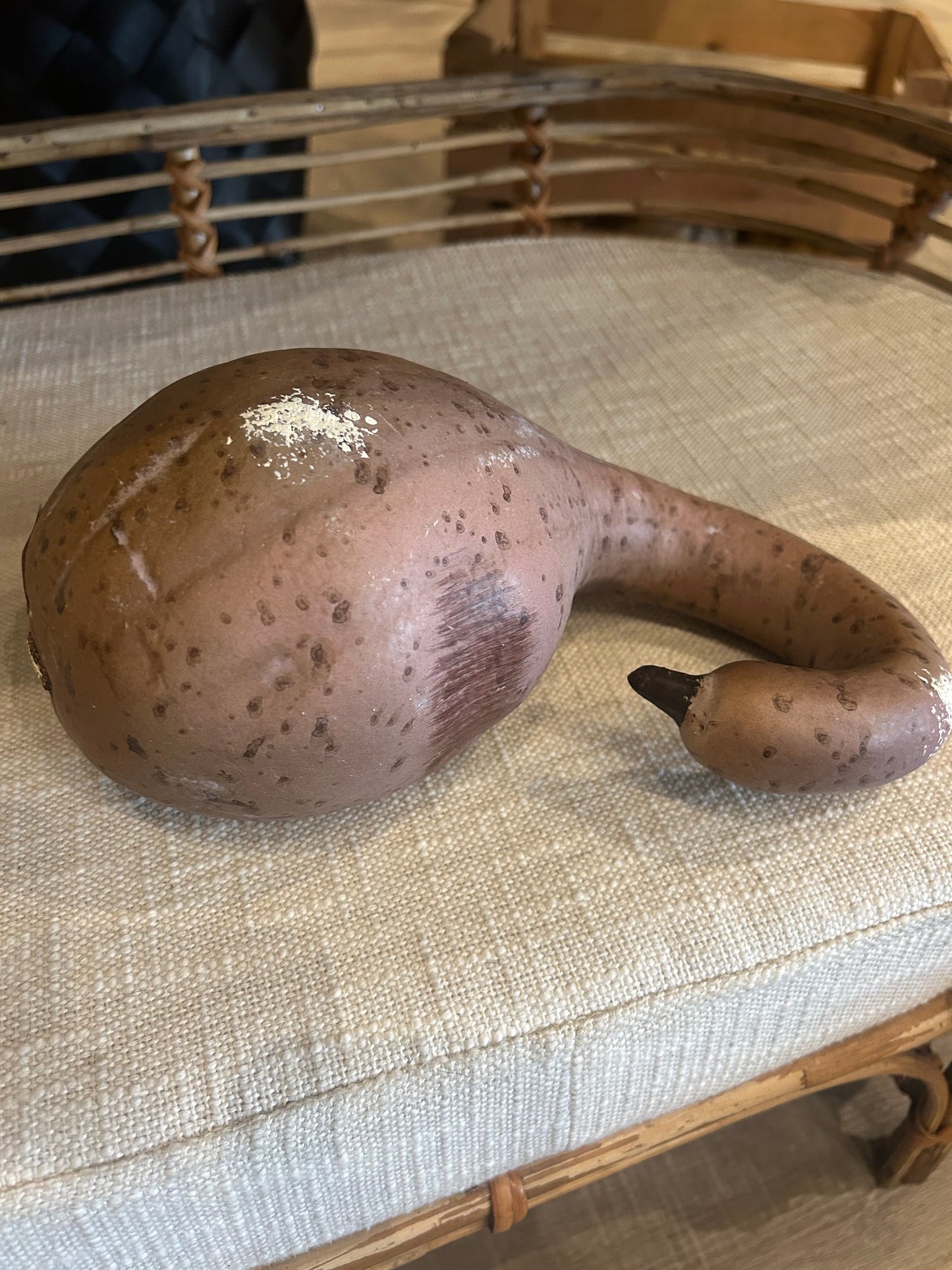 Rustic & Whimsical Gourds & Pumpkins