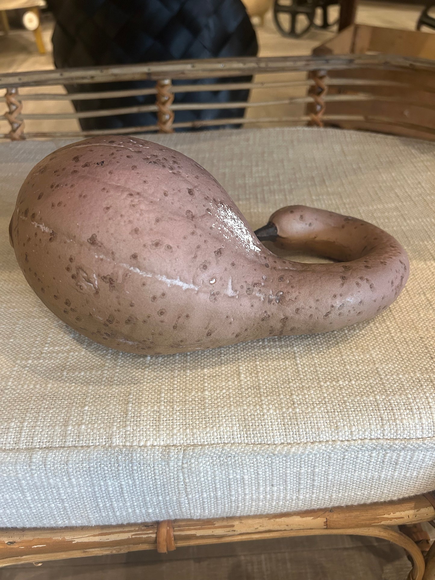 Rustic & Whimsical Gourds & Pumpkins