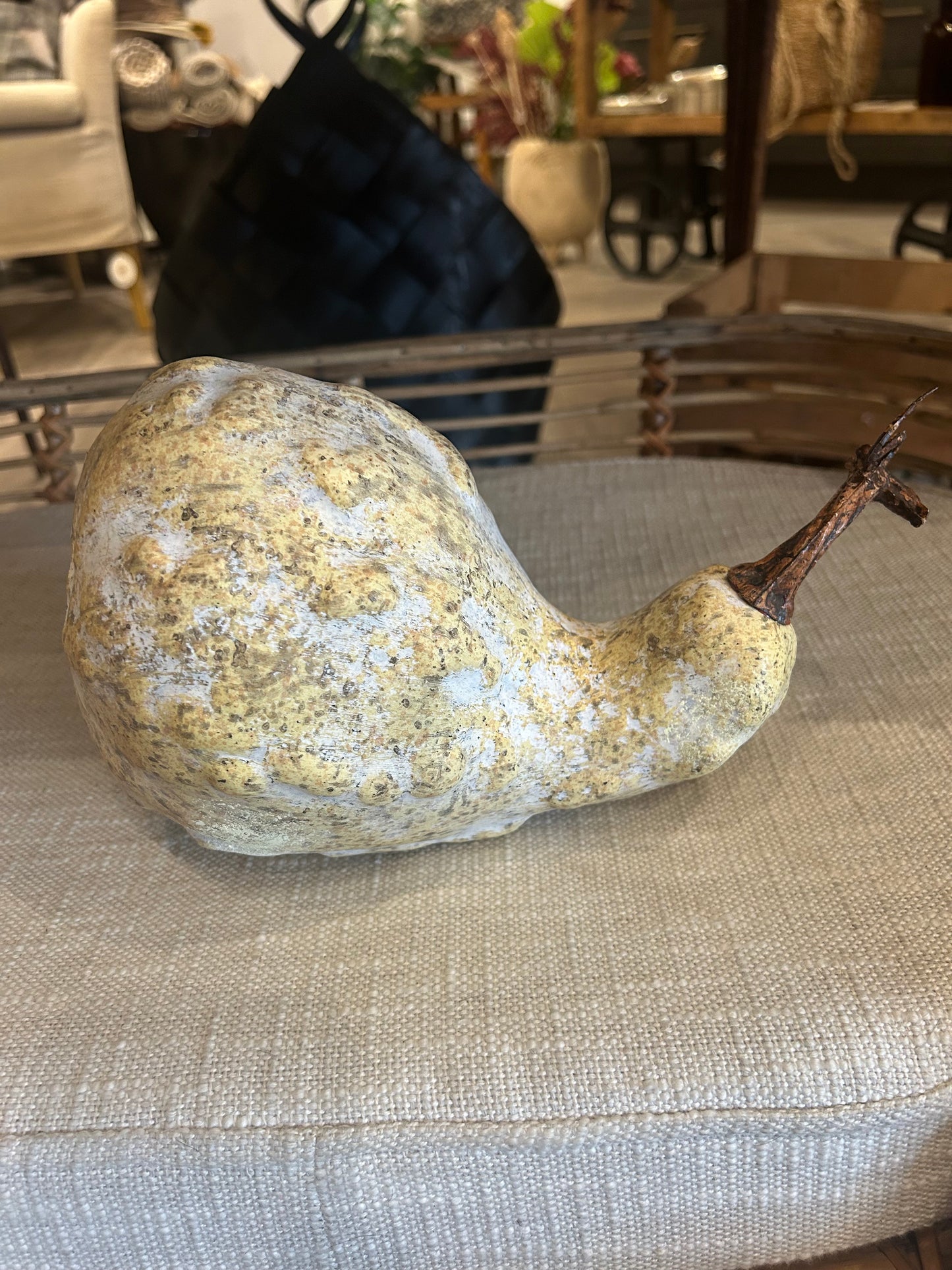 Rustic & Whimsical Gourds & Pumpkins