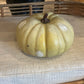 Rustic & Whimsical Gourds & Pumpkins