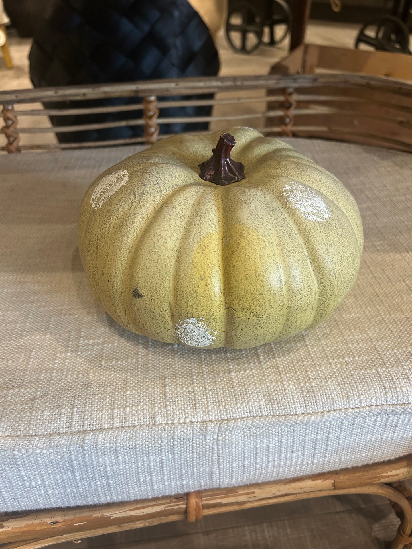 Rustic & Whimsical Gourds & Pumpkins