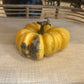 Rustic & Whimsical Gourds & Pumpkins