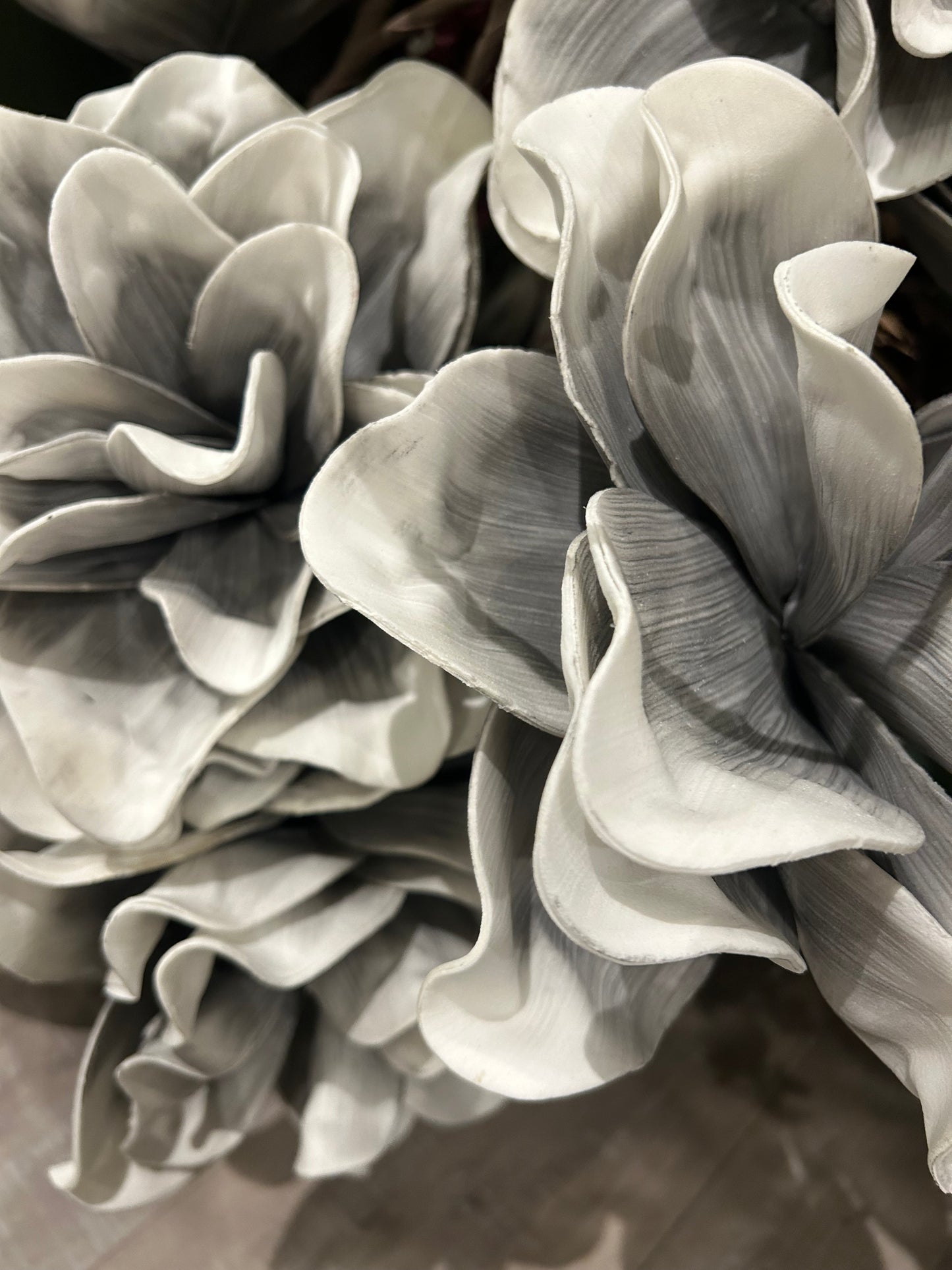 Eva Double head Gray and White Stem
