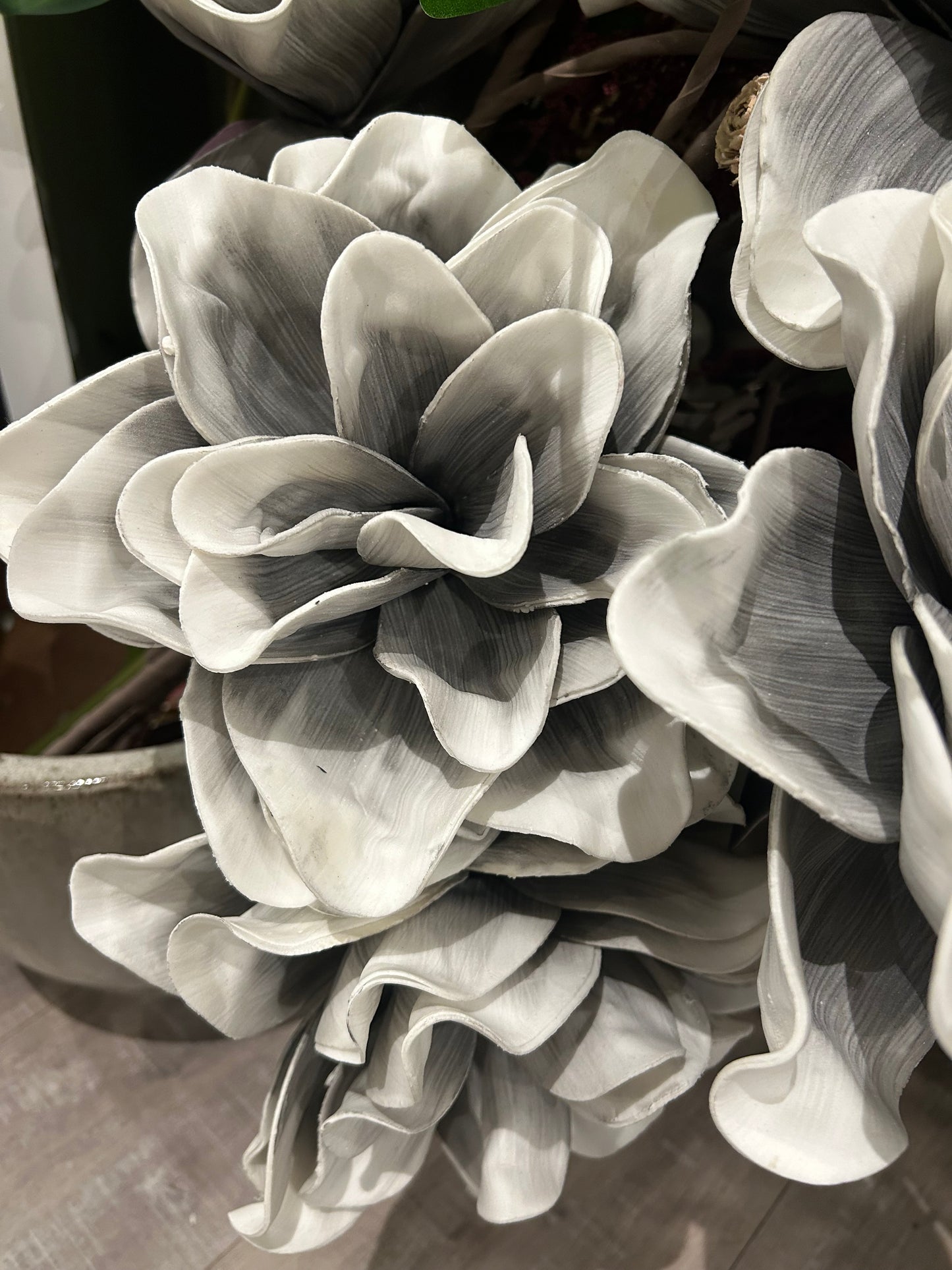 Eva Double head Gray and White Stem