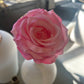 Pink Rose Stem 26"