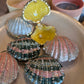Shell Trinket Box