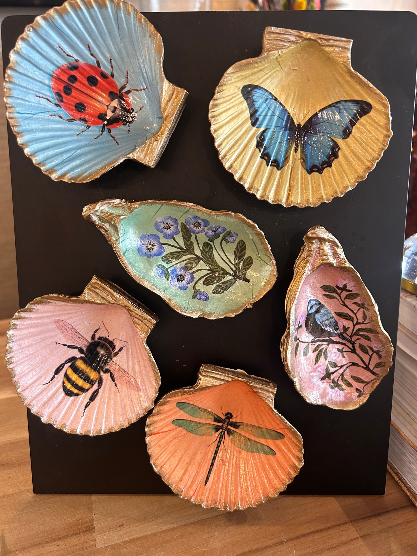 Resin Shell Shaped Magnet w/ Flora/Fauna Image, 6 Styles