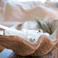 Magnesia Seashell Centerpiece