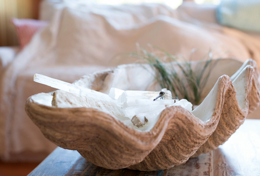 Magnesia Seashell Centerpiece