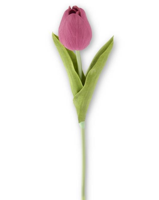 Fuchsia Tulip Stem