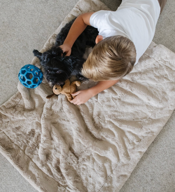 Lush Pet Blanket