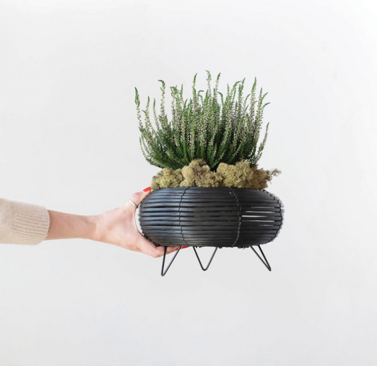 Plastic Planter with Metal Feet