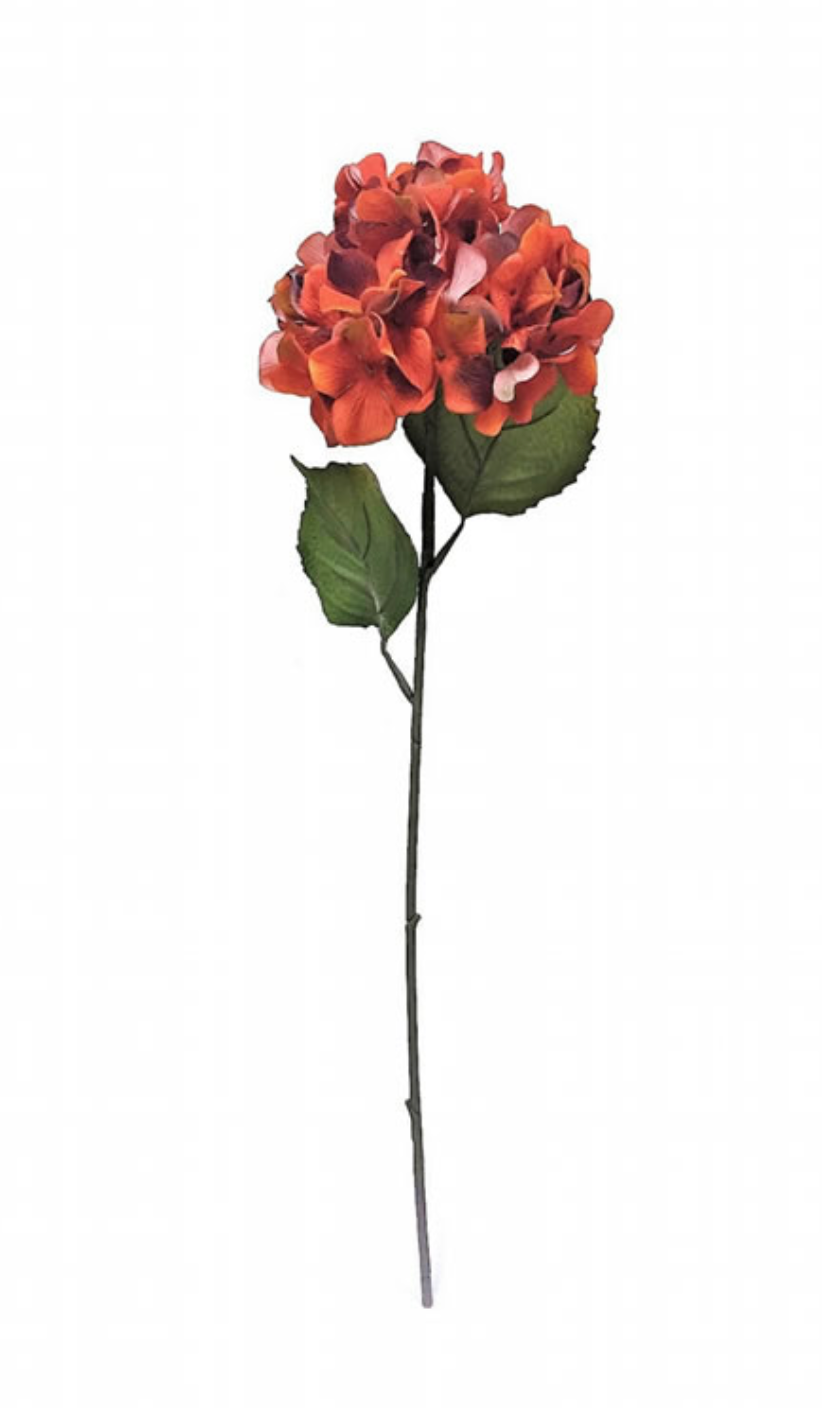 Hydrangea Stem