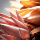 Fall Artichoke Spray