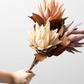 Fall Artichoke Spray