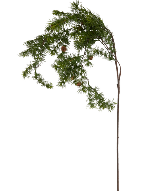 Cedar Branch