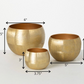 Lustrous Brushed Gold Pots