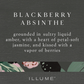 Blackberry Absinthe Soap & Lotion