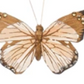 Single Fabric Butterfly Clip
