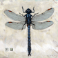 Giclee Wall Art