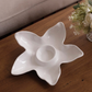 VIDA Ocean Starfish Chip & Dip