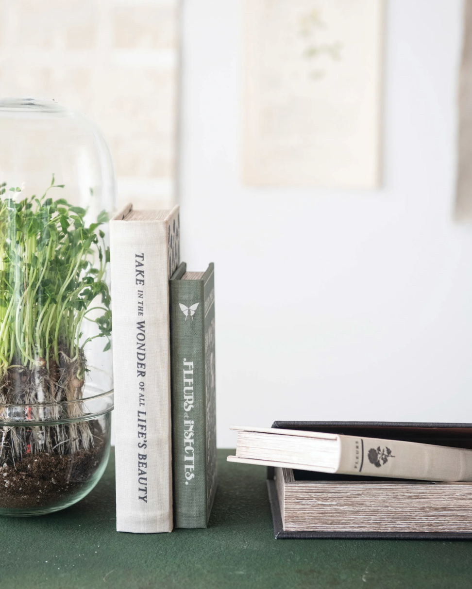 Book Box Hidden Storage