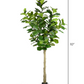 Faux Fiddle Fig Tree