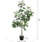Faux Fiddle Fig Tree