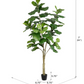 Faux Fiddle Fig Tree