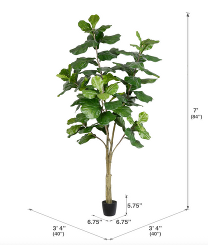 Faux Fiddle Fig Tree