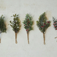 Evergreen Tree Swag