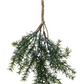 Evergreen Tree Swag
