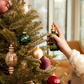 Frasier Fir Tree & Room Spray