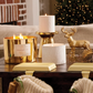 Frasier Fir Ceramic Petite Candle