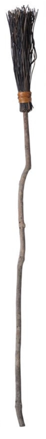 Witch's Broom - Mango Wood & Coconut Twig