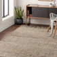 Dumont Gray Rug