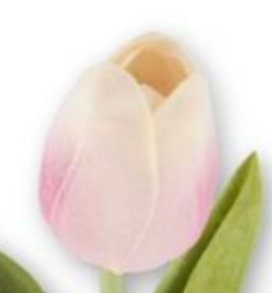 Tulip Stem K & K Interiors Real Touch