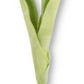 Tulip Stem K & K Interiors Real Touch