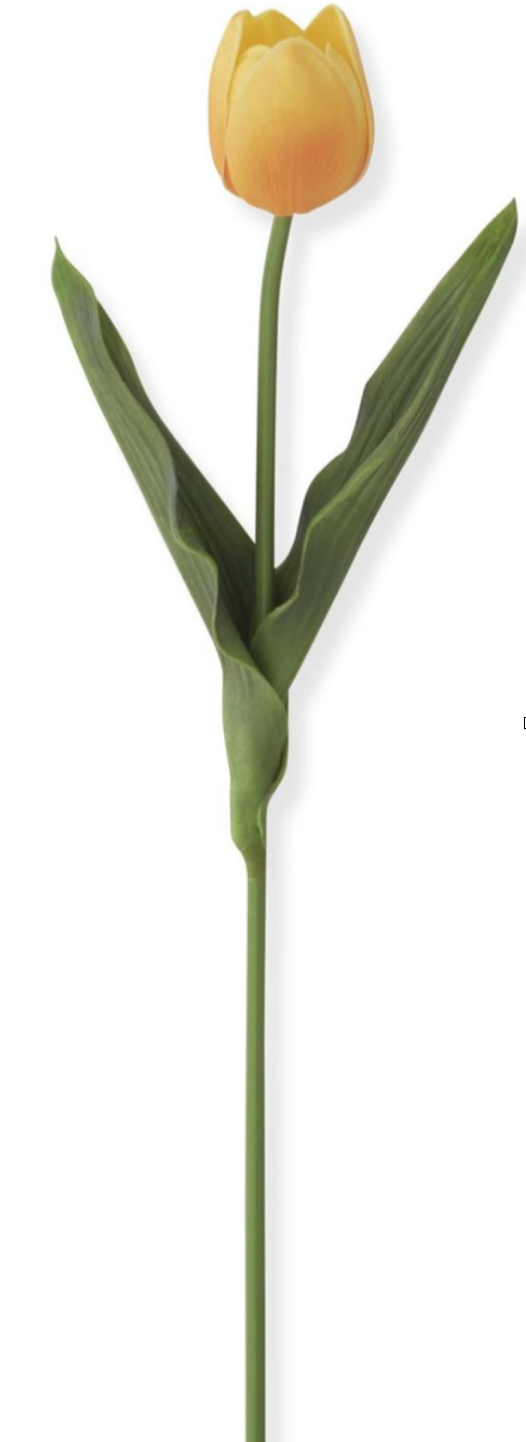 Tulip Stem K & K Interiors Real Touch