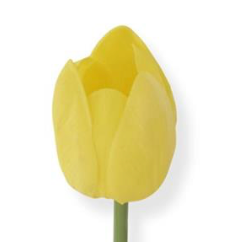 Tulip Stem K & K Interiors Real Touch