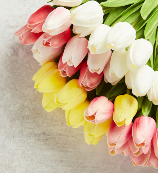 Tulip Stem K & K Interiors Real Touch