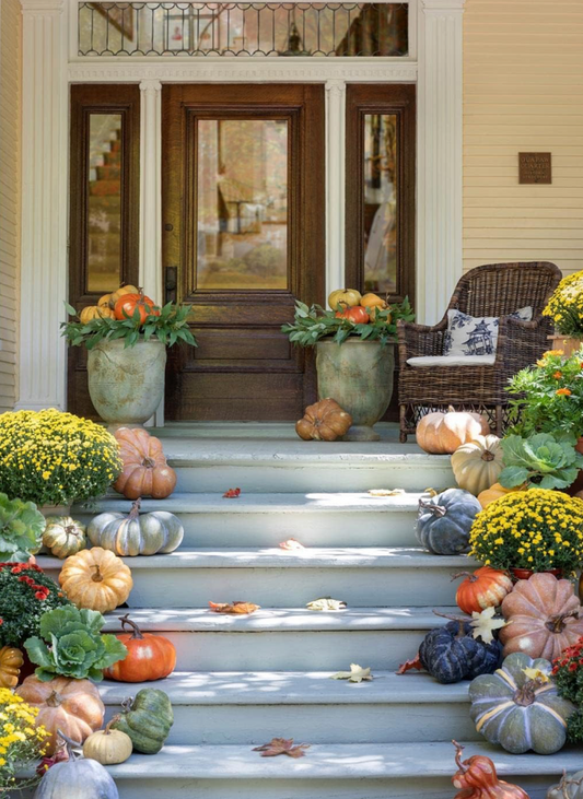 Rustic & Whimsical Gourds & Pumpkins