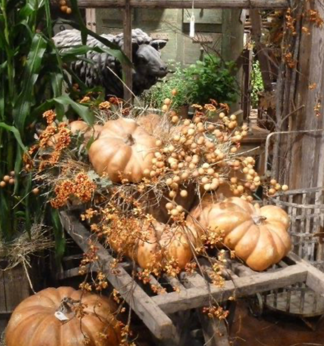 Rustic & Whimsical Gourds & Pumpkins