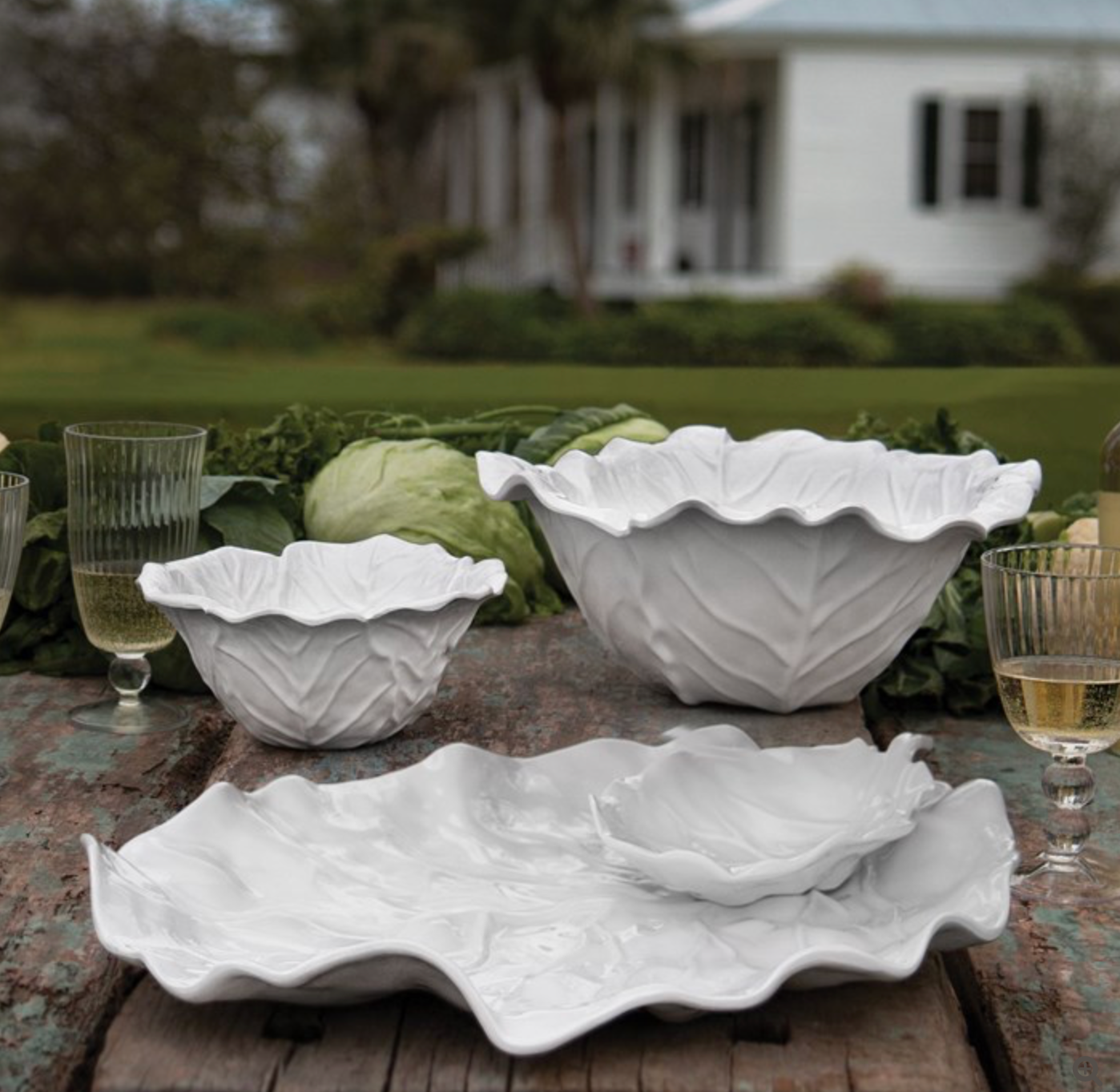 VIDA Lettuce Leaf Chip & Dip