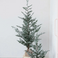 Faux Atlas Cedar Tree in Burlap